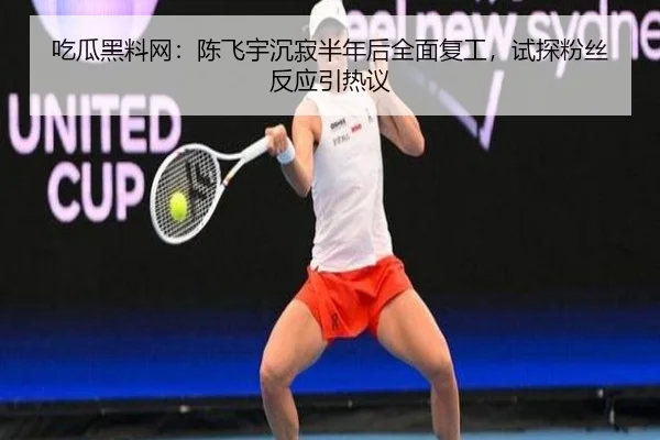 chi-gua-hei-liao-wang-chen-fei-yu-chen-ji-ban-nian-hou-quan-mian-fu-gong-shi-tan-fen-si-fan-ying-yin-re-yi-2-508.jpg